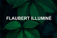 Mardi 23 novembre à 20h30 - Flaubert Illuminé - Restitution collège Charcot - Hydre en Scène Le Trait