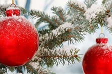 Dimanche 1er Décembre 2019 - La Magie de Noël - Galerie Adrienne Desbiolles